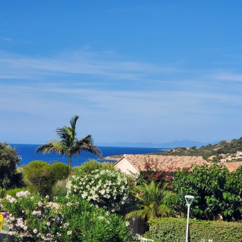Belle vue mer