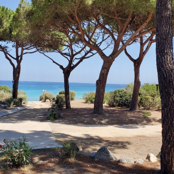 En arrivant à la plage