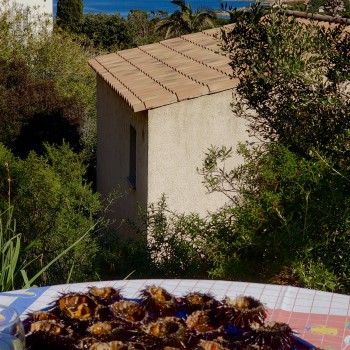 A l'arrière de la maison, un beau spot pour des instants conviviaux